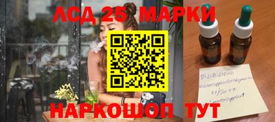 стаф Донской