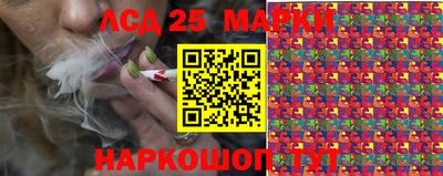 стаф Донской