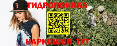 стаф Донской
