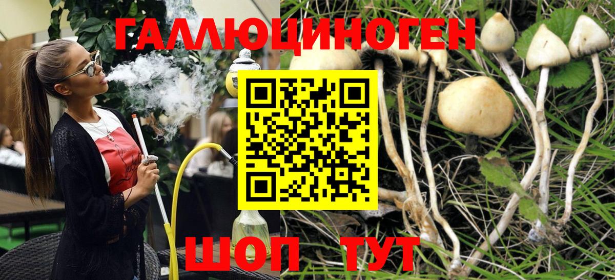 Псилоцибиновые грибы ЛСД  Вход с VPN  Мурманск 